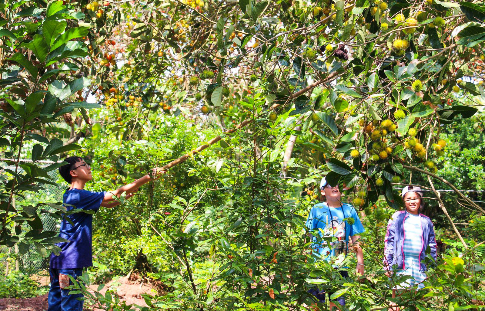 MEKONG DELTA 2D1N TO VINH LONG – CAN THO