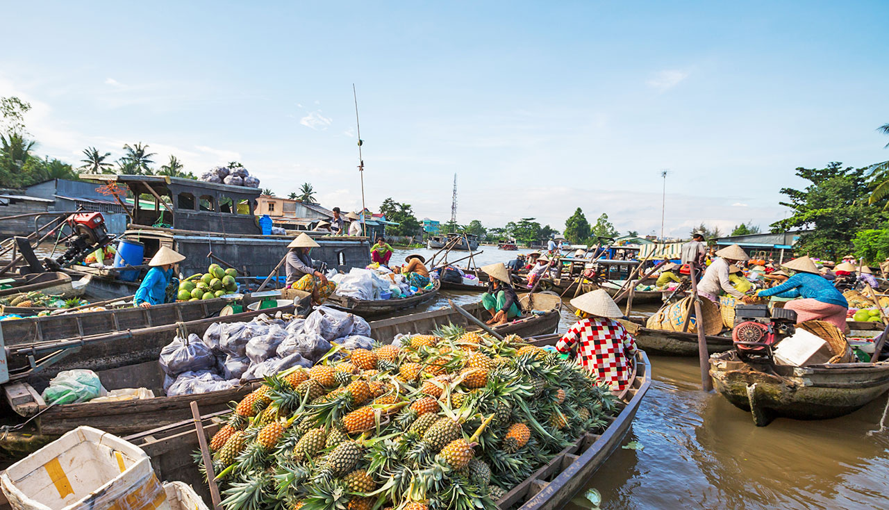 THE COLORFUL OF MEKONG DELTA