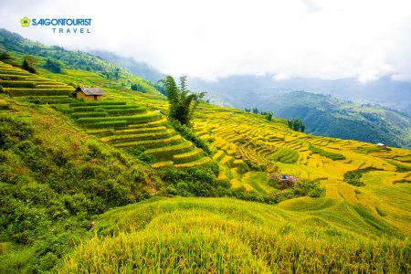 Ninh Binh and Sapa 4D3N