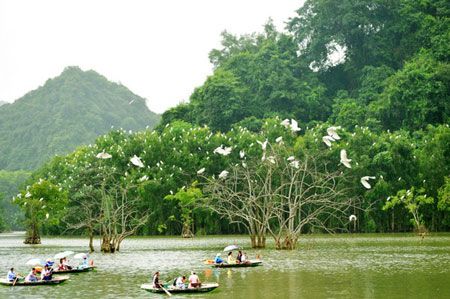 Bird Watching Thung Nham