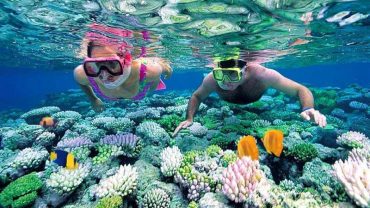 Dive into Paradise: Snorkeling in Vietnam