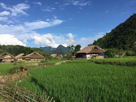 Ha Giang Homestay