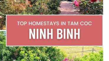 Homestay Ninh Binh: Live Like a Local Among Stunning Landscapes