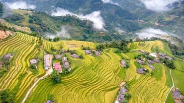 Journey Through Emerald Waves: Exploring the Allure of Rice Fields in Vietnam