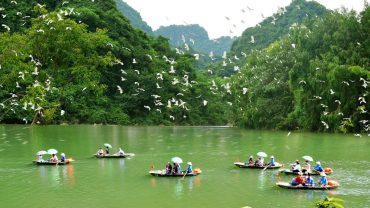 Thung Nham Bird Park: A Haven for Bird Enthusiasts