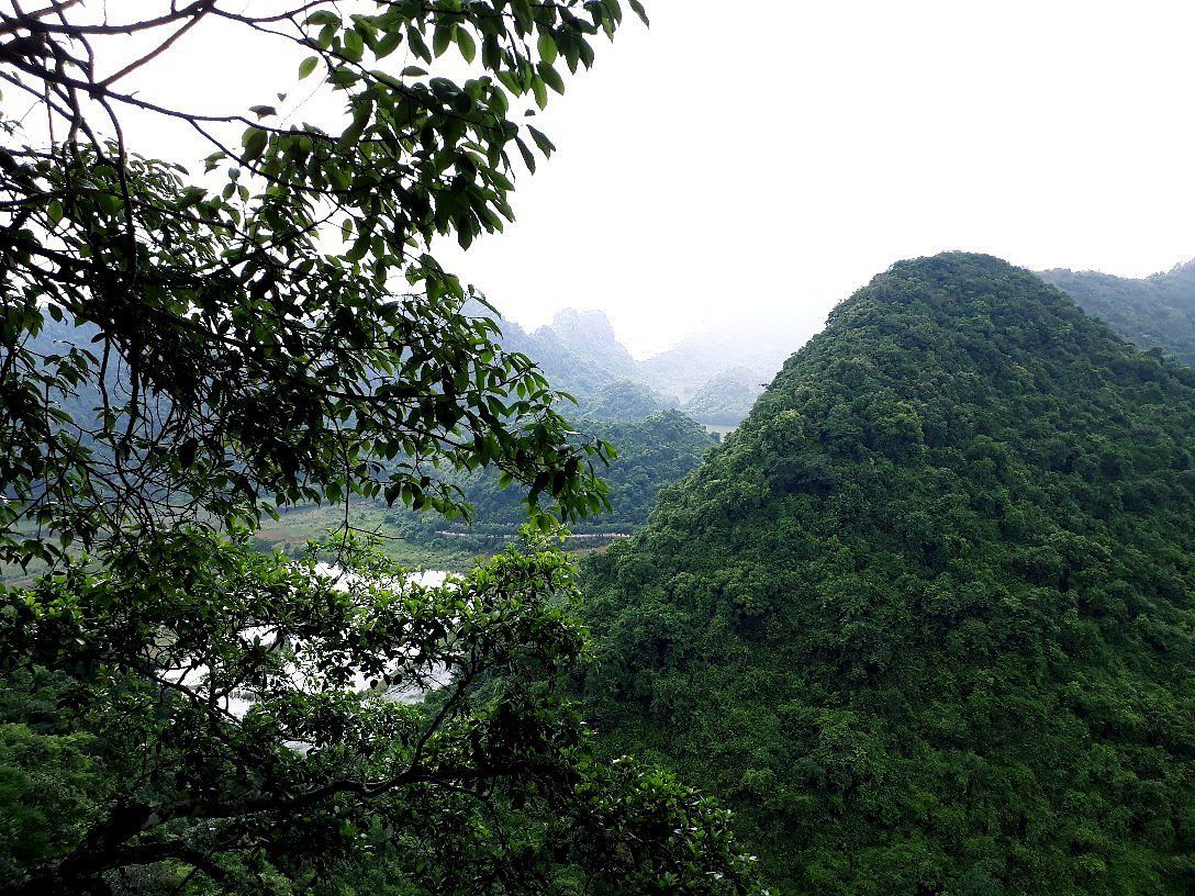 Vai Gioi Cave Formations