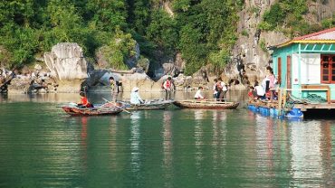 Embark on a Tranquil Journey with a Halong Bay Bamboo Boat Tour