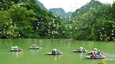 Thung Nham Bird Park: A Haven for Bird Enthusiasts